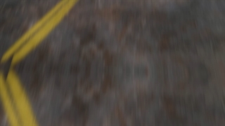 موشن گرافیک مرزبانی زیستی در آینه قوانین و مقررات