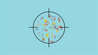 موشن گرافیک جنگ های زیستی در طول تاریخ