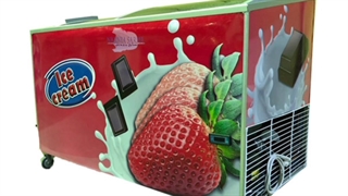 یخچال بستنی نارنیا سرما