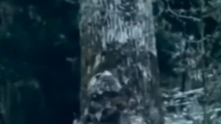 خیلی باحاله حتما ببینید