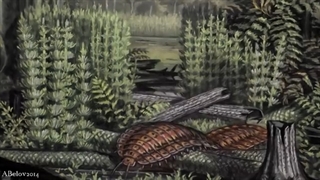 Jaekelopterus - The Biggest Arthropod That Ever Lived