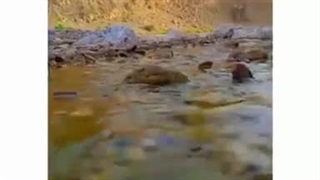 رودخانه ازمیغان طبس