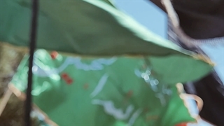 محرم ۱۴۴۴/خراسان جنوبی،فردوس.