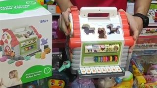 کلبه جاگذاری (موزیکال+باطری خور) اسباب بازی هولی تویز