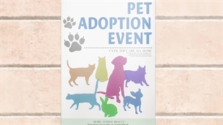 انیمه spy x family قسمت 15 با زیرنویس فارسی