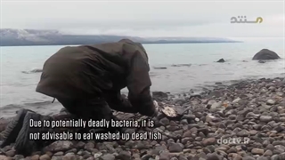 مستند ( تنها در کوهستان گریزلی ) قسمت 8 + دوبله فارسی