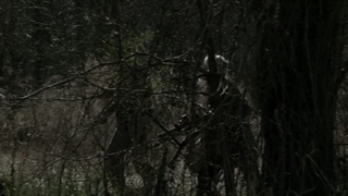 سریال The Walking Dead فصل 11 قسمت 20 زیرنویس فارسی - سریال مردگان متحرک فصل 11 قسمت 20 با زیرنویس فارسی