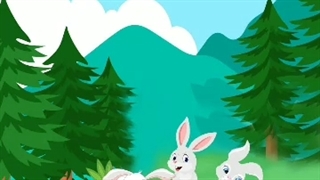 جنگل کاج خرگوش‌ها قسمت اول