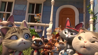 انیمیشن ۴۴ گربه  _ قسمت پنجم