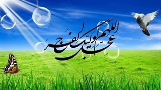 یا اباصالح دلم را عشق تو کرده هوایی