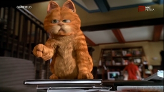 Garfield (2004) [MBC Persia, incomplete]