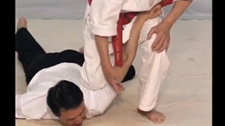 [Jiu-jitsu] Small Circle Jujitsu - Part03 - Armbars