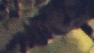 In The Middle Of The Night