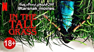 فیلم ترسناک درمیان علفزارهای بلند_2019_In The Tall Grass_با زیرنویس فارسی چسبیده