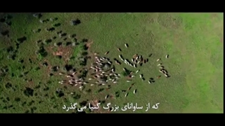 ویدئو) یک مادر مجرد و داستانش با خط آهن