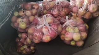 97- توزیع ارزاق و میوه اهدایی نیکوکار عزیزمان مهر 1401