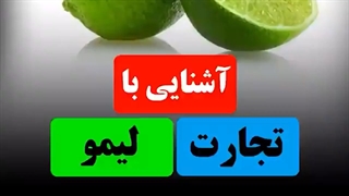 آشنایی با تجارت لیمو