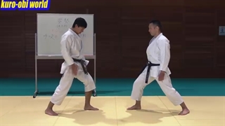 نحوه ضربه مایی گری (ضربه جلو پا) به حریف! - زیرنویس فارسی