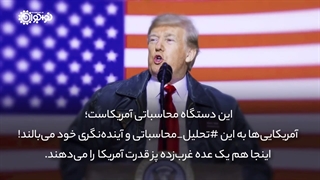 احمق‌های درجه یک