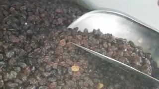 کشمش پلویی مراغه، پاک شده و بدون هسته