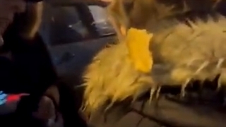 ضد انقلاب ها تکلیفشون با خودشون هم روشن نیست