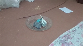 گوگولیای بابا...