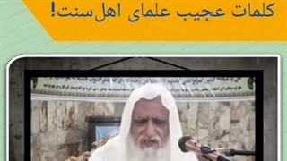 دفاع از صحابه به هر قیمتی توسط علمای اهل سنت