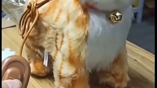 گربه اسباب بازی کنترلی مدل 201