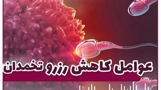 عوامل کاهش رزرو تخمدان