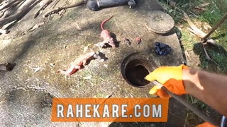 لوله بازکنی پونک