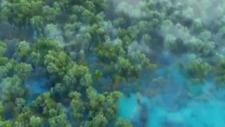 چهار ذکر مشکل گشا