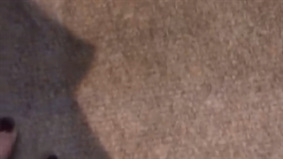 مسکن مهر پیشی ها