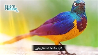 چیزی های ک باعث بدست آمدن برکت درخانه می شوند -عربی-زیرنویس فارسی-الأشیاء التی تجلب النعم فی المنزل!