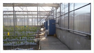 بخاری گلخانه ای ، هیتر گلخانه ای 09197443453