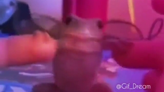 سخن بگید(ج ح؟)