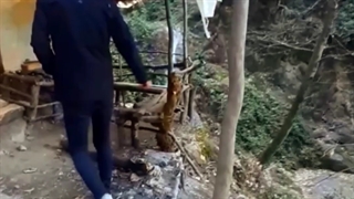 مهدی میرزائی کلبه آبشار کبودوال
