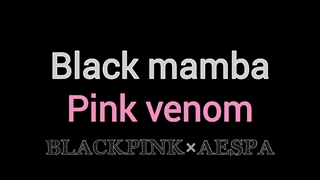 Introducing the first song of the Black Dream album pink mamba