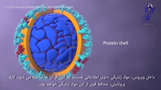 باورود کرونا در بدن چه اتفاقی رخ میدهد ؟