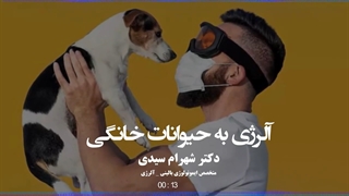 آلرژی به گربه