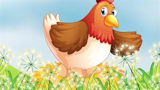 داستان مرغ پرقرمزی