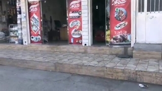 بیرون بر و کباب سناتور