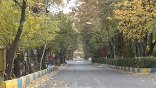 جشنواره ای برای کتاب خواندن