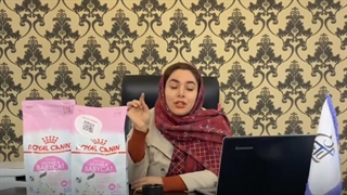 بهترین غذای مناسب گربه مادر و بچه گربه
