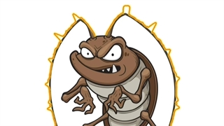 آلرژی به سوسک