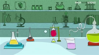 Embryology | Neurulation, Vesiculation, Neural Crest Cell Migration