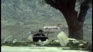 سور و سوگ فصل 7 قسمت 2