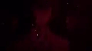 ادیت از سگ های ولگرد بانگو!