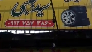 لاستیک سید مجتبی