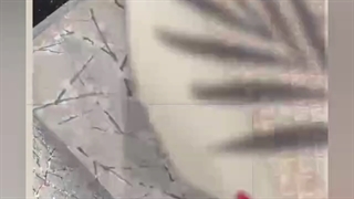 آلبوم کاغذ دیواری گابانا  GABBANA