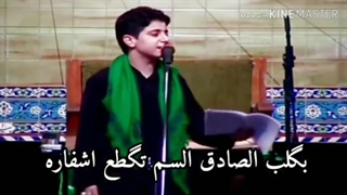 برای امام صادق(ع)مرحوم سیدمحمدباقرعلوی